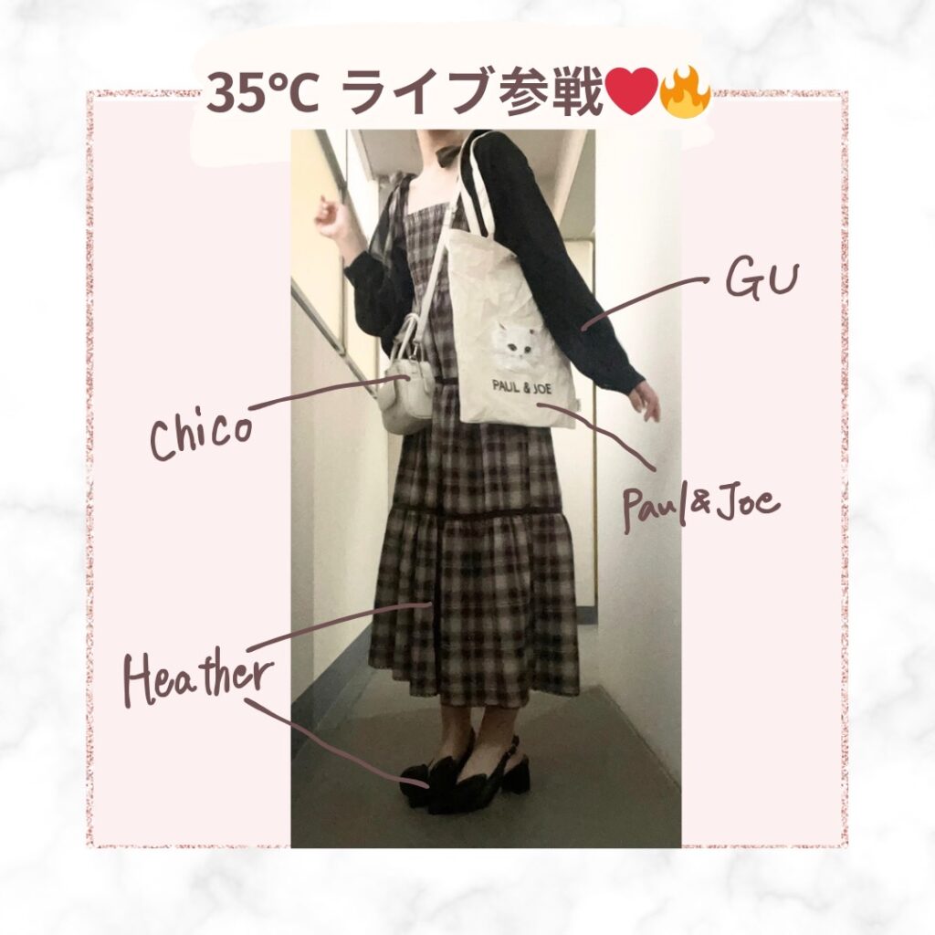 気温35度・ライブ参戦の日