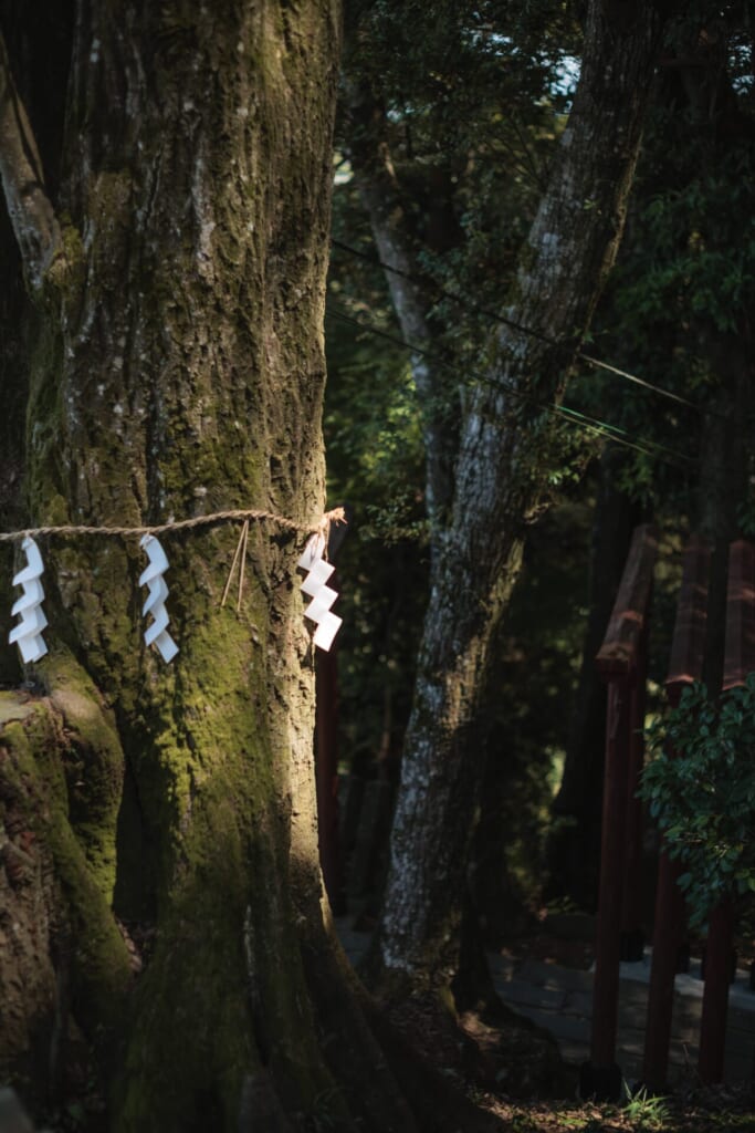 パワースポット　祐徳稲荷神社　鹿島市