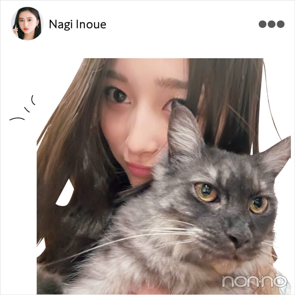 井上和(乃木坂46)が人生で一度はしてみたい髪形・髪色は?