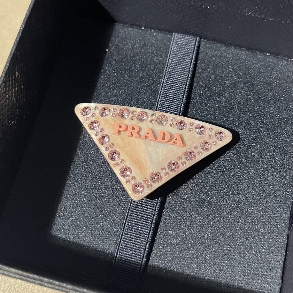 RADAのプレキシガラス ヘアクリップ、ペタルピンクの拡大写真。