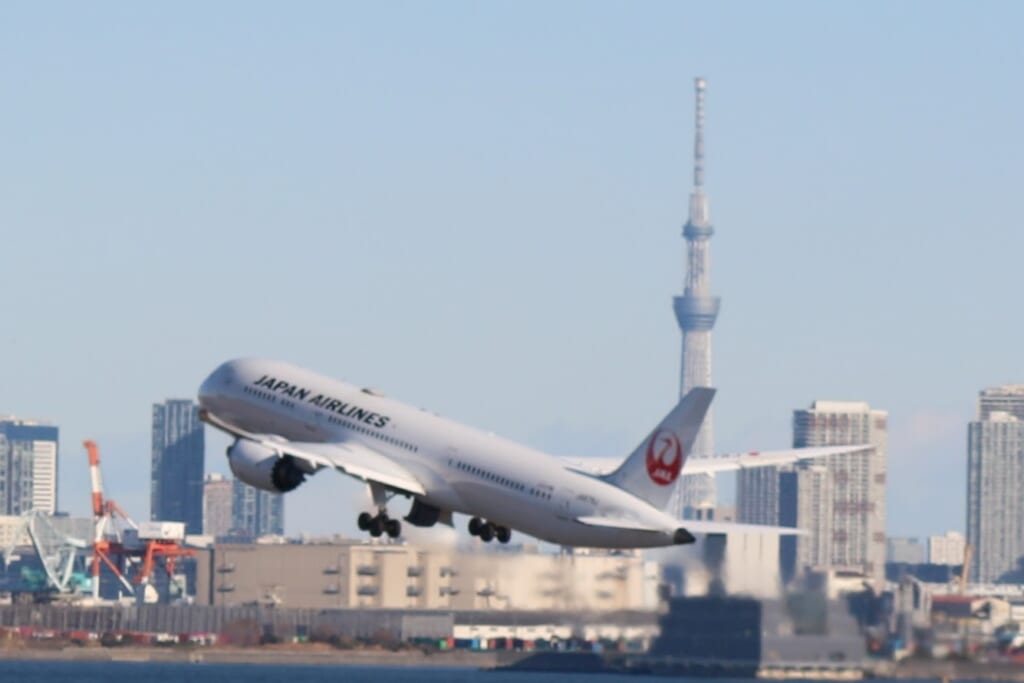 飛行機とスカイツリー