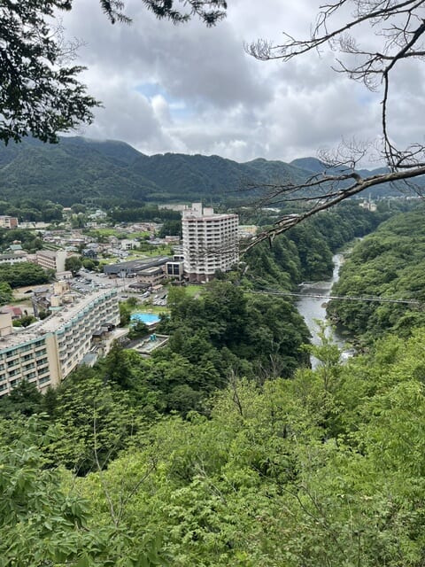 楯岩展望台からの景色