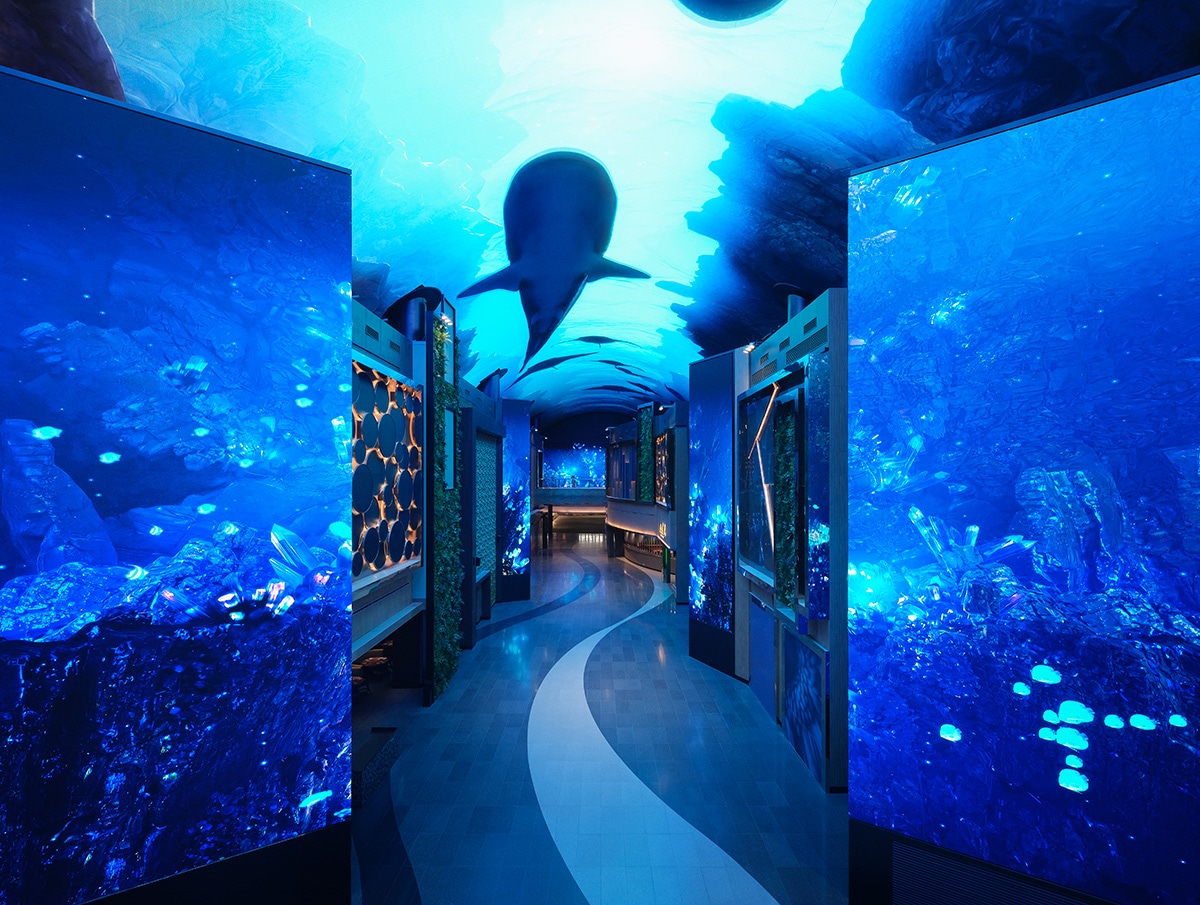 インスパイア・エンターテインメント・リゾート「オーロラ」映像パネル