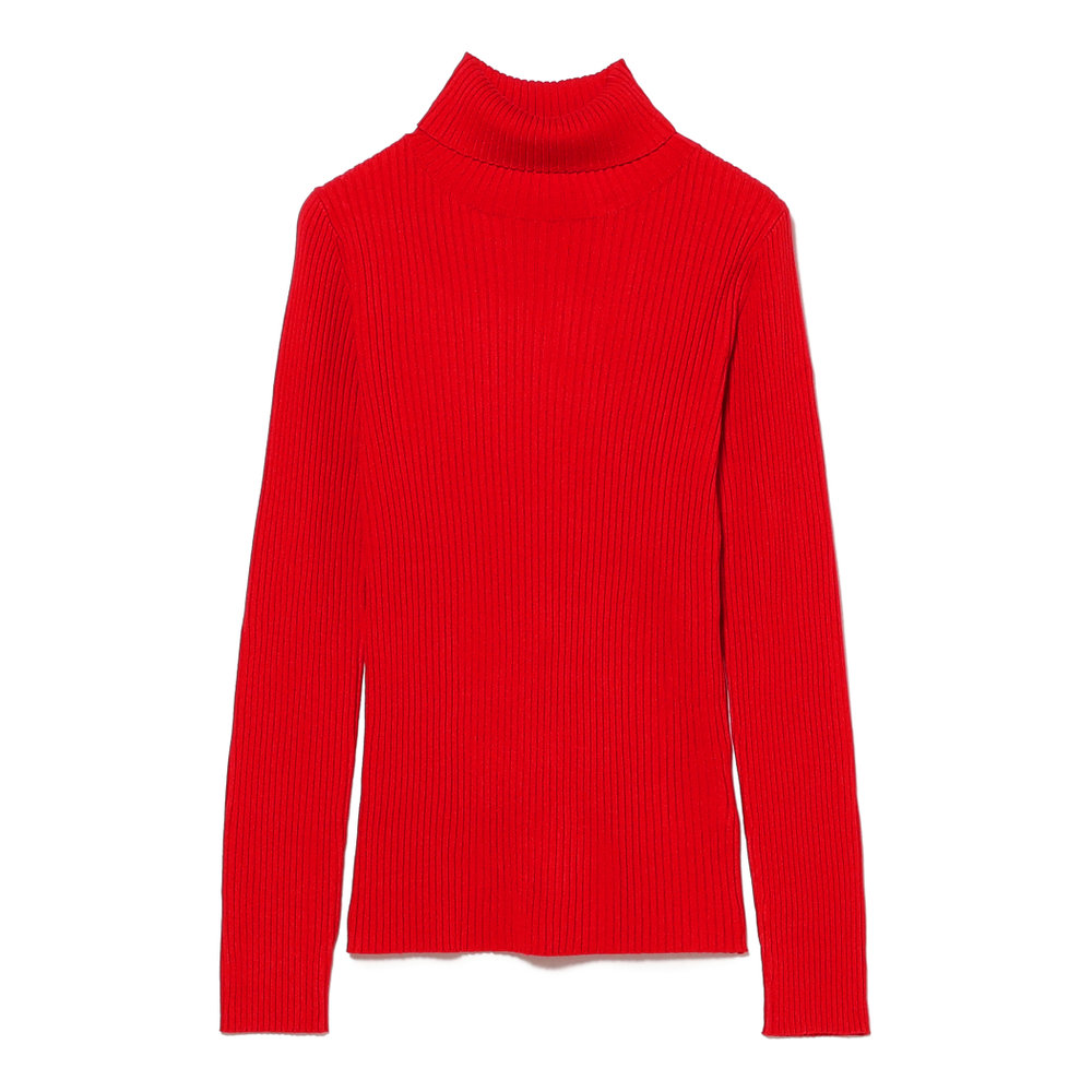 レッド・レイ ビームスのタートルニット