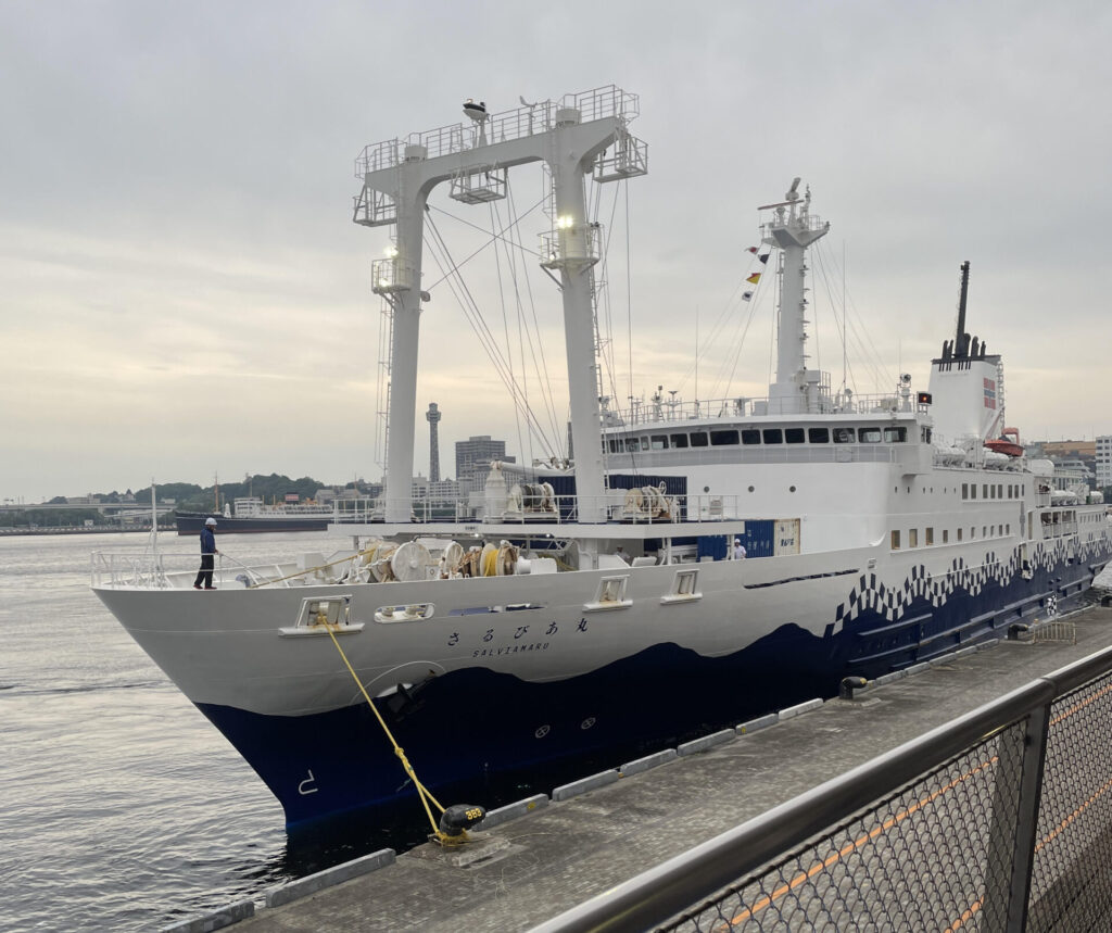 乗船した「さるびあ丸」