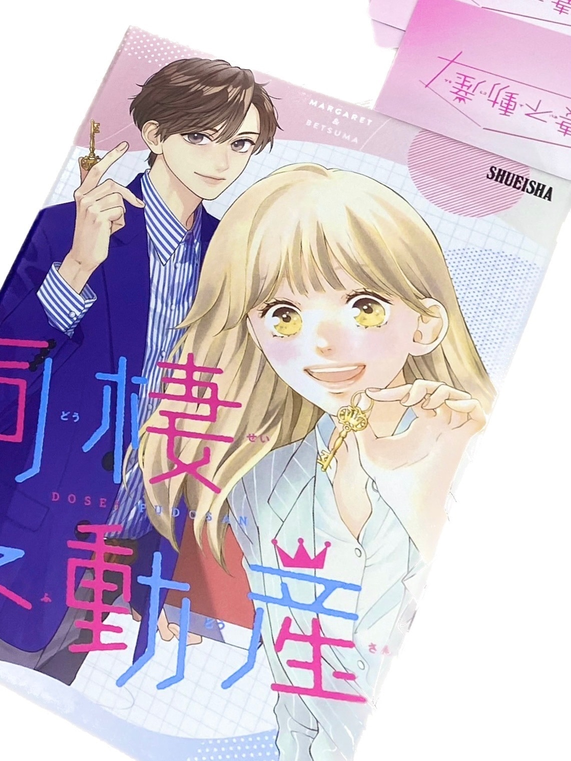 別冊マーガレット1月号の付録「同棲不動産」