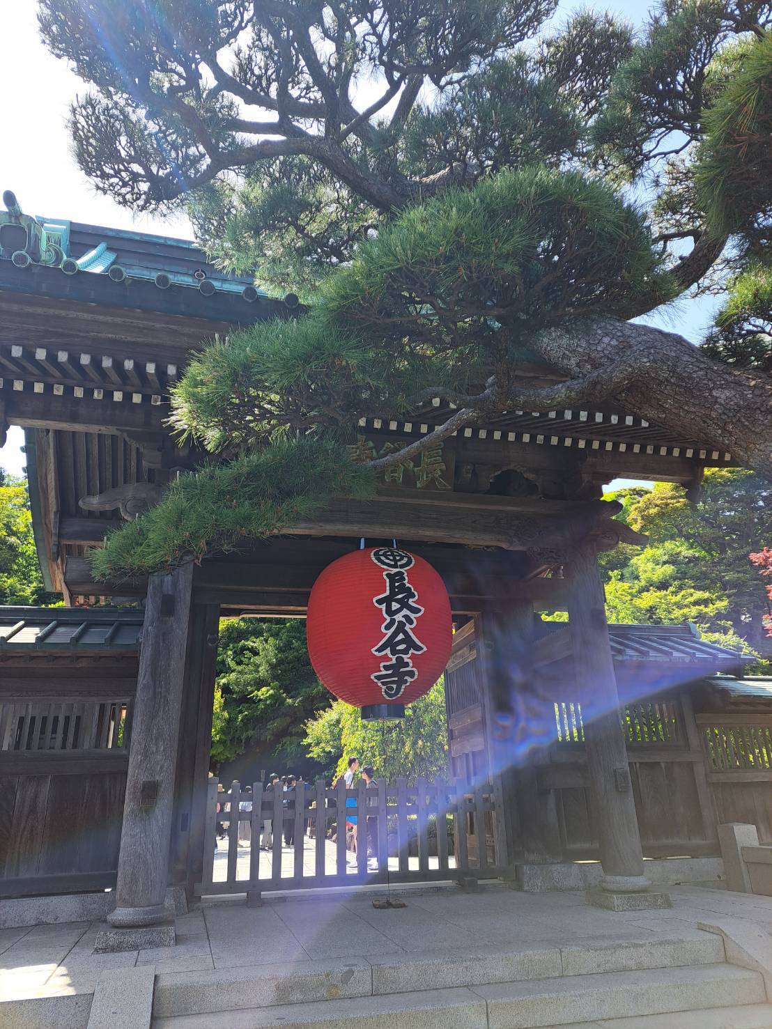 鎌倉　長谷寺