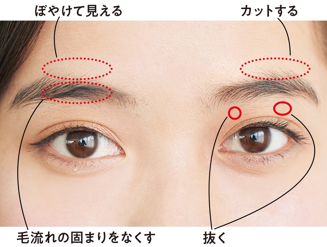 ぼやけて見える　カットする　毛流れの固まりをなくす　抜く