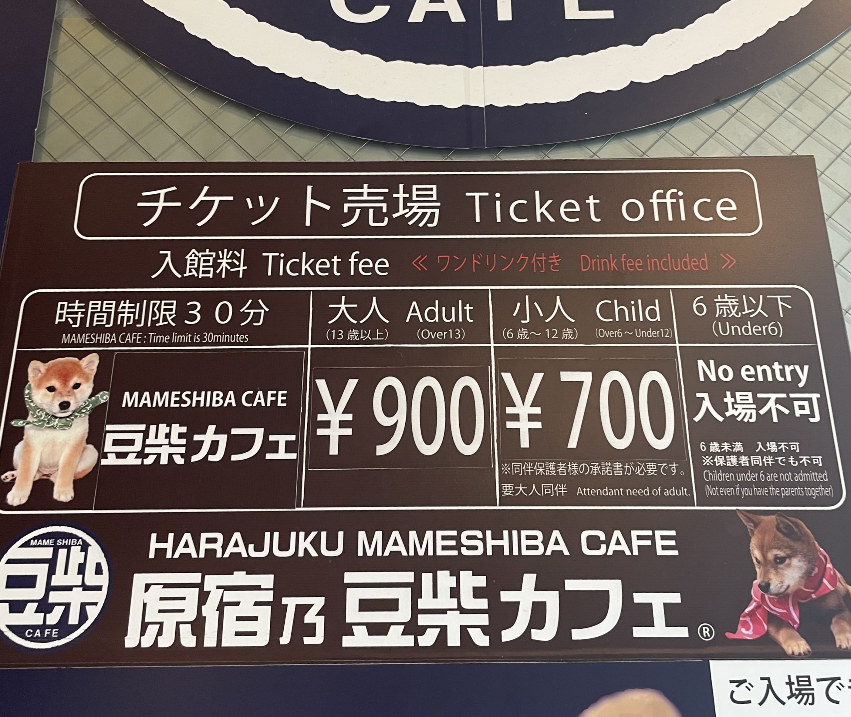 原宿乃豆柴カフェ　柴犬　チケット