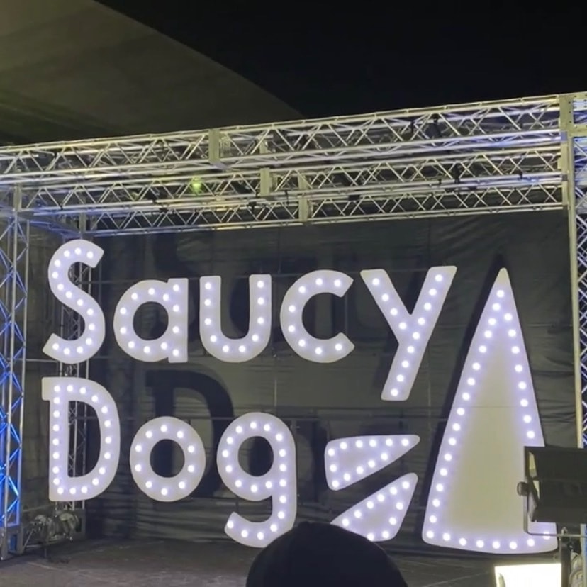 ６月１６日、大阪城ホールで行われたSaucy Dogさんのライブです。