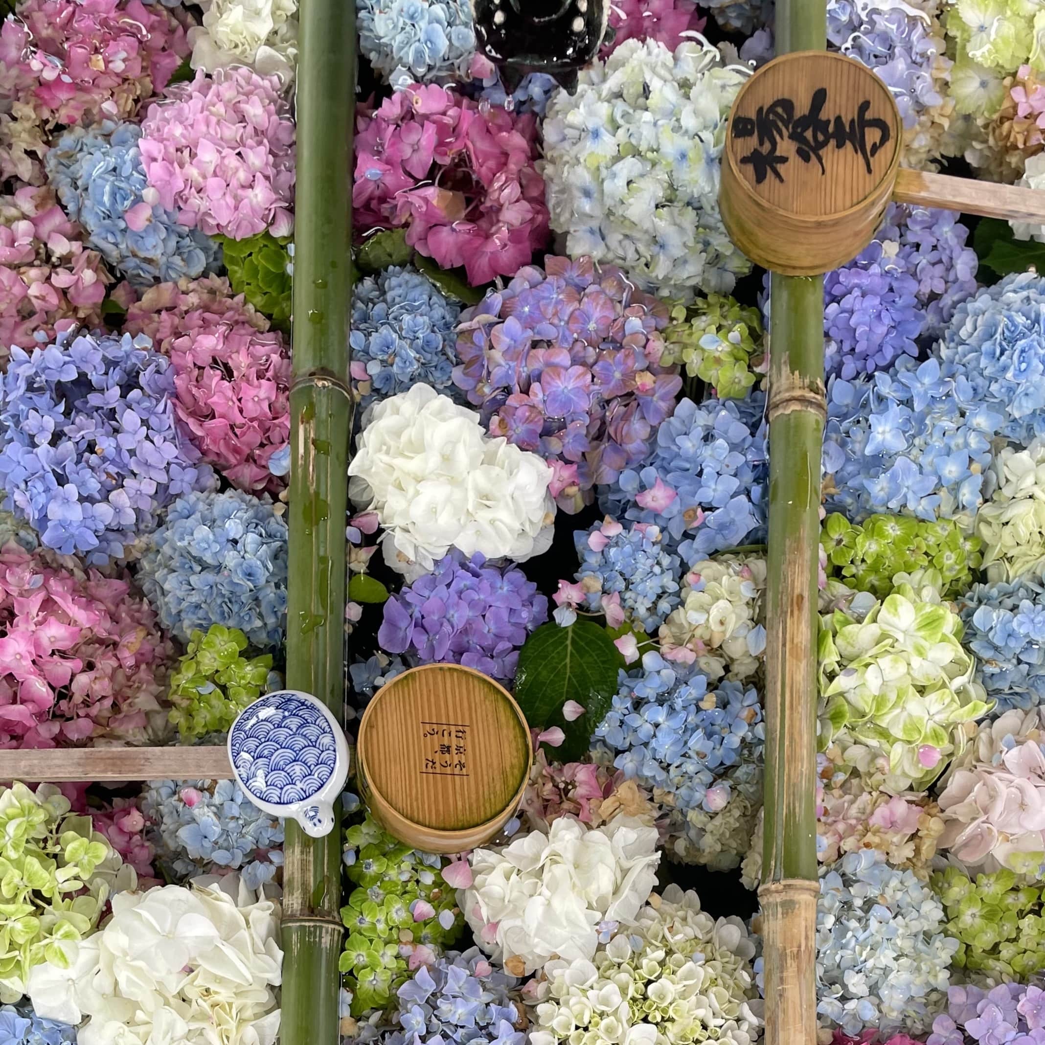 花手水　あじさい