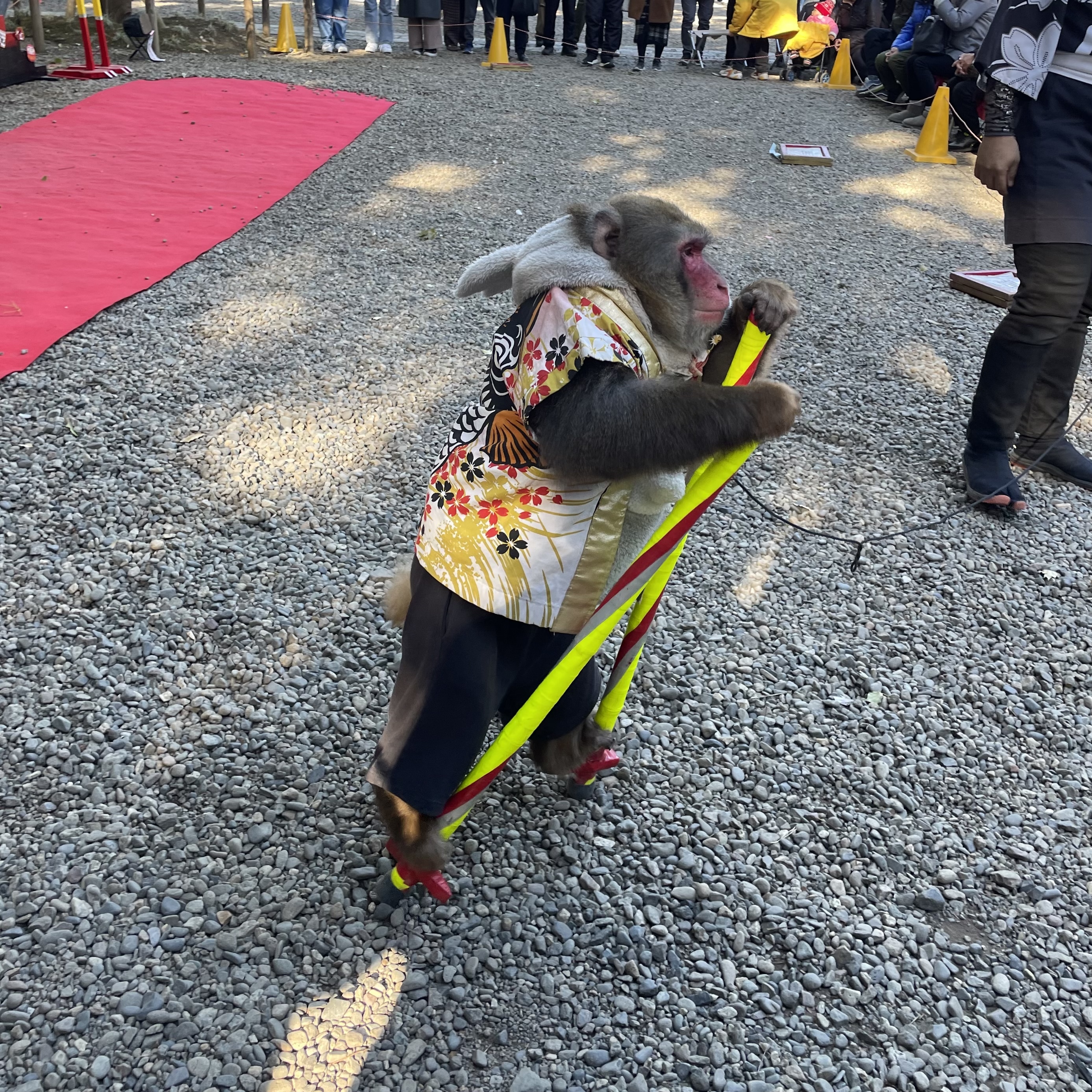 氷川神社　初詣　日光さる軍団