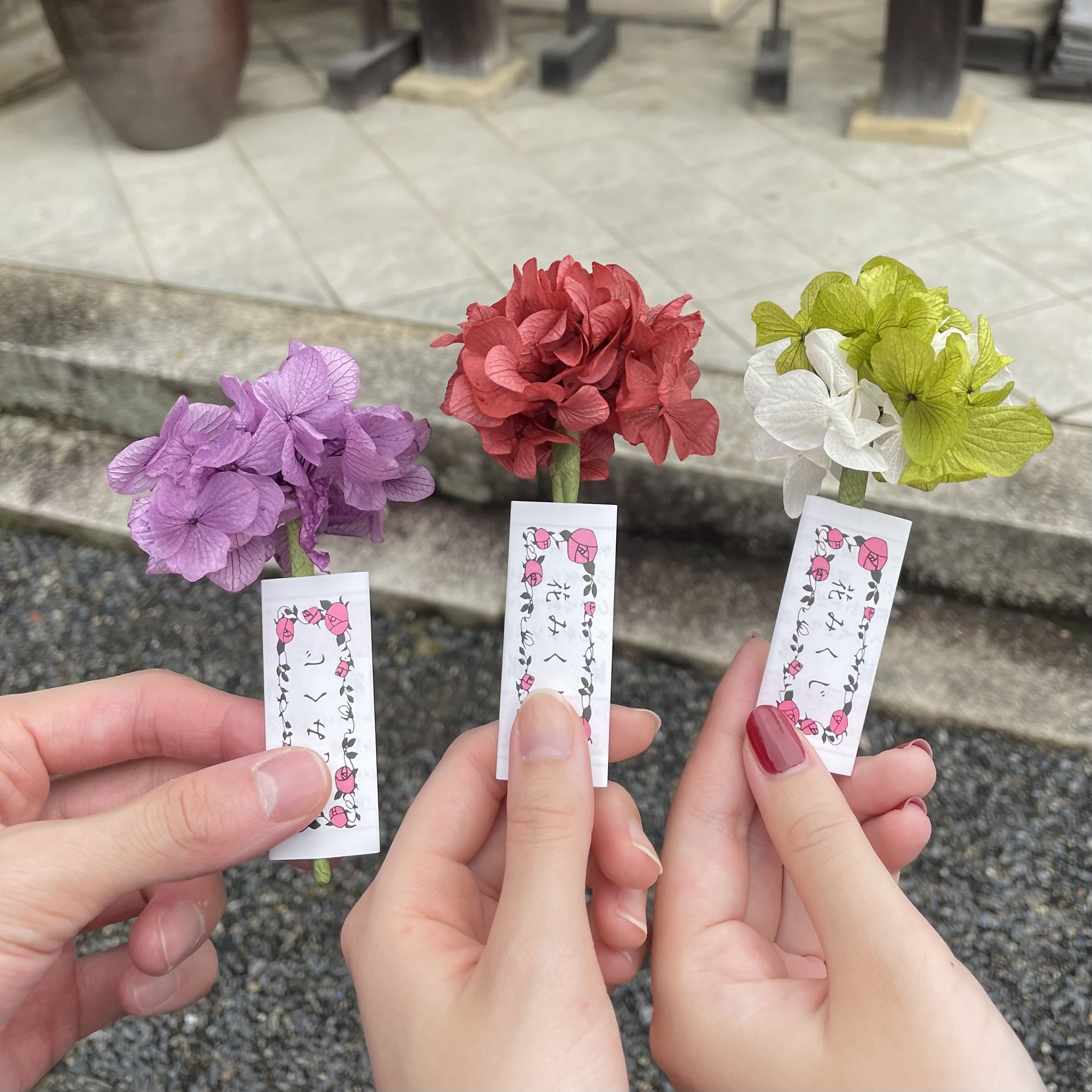 花みくじ　紫陽花　柳谷観音