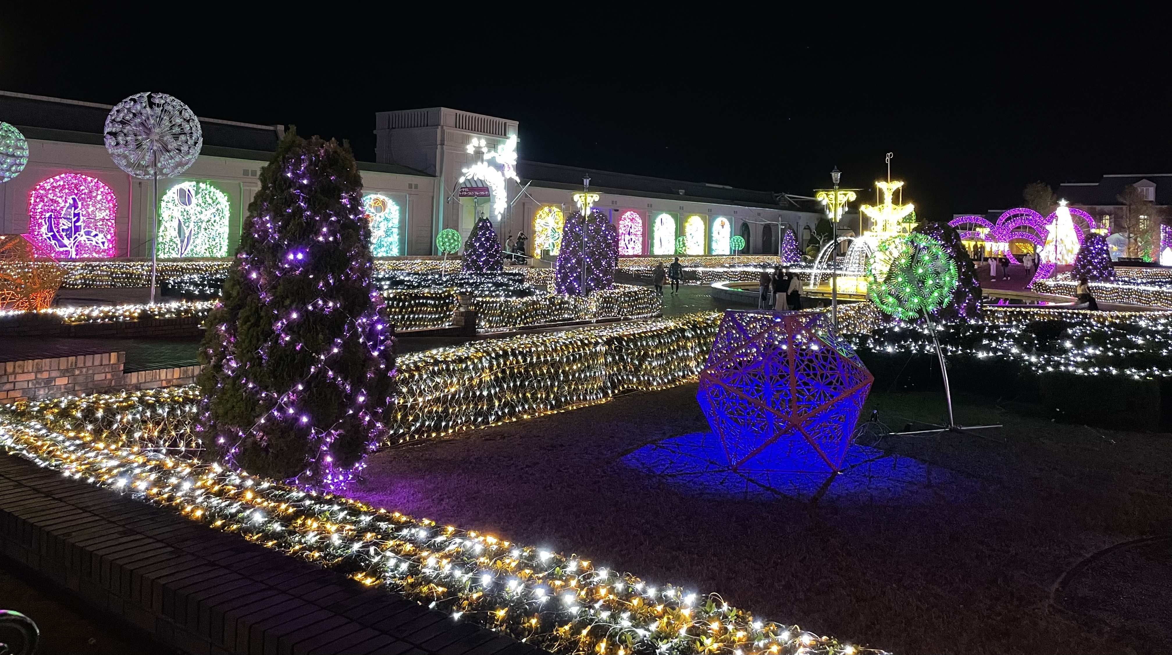 2022 神戸イルミナージュ　アイスワンダーガーデン