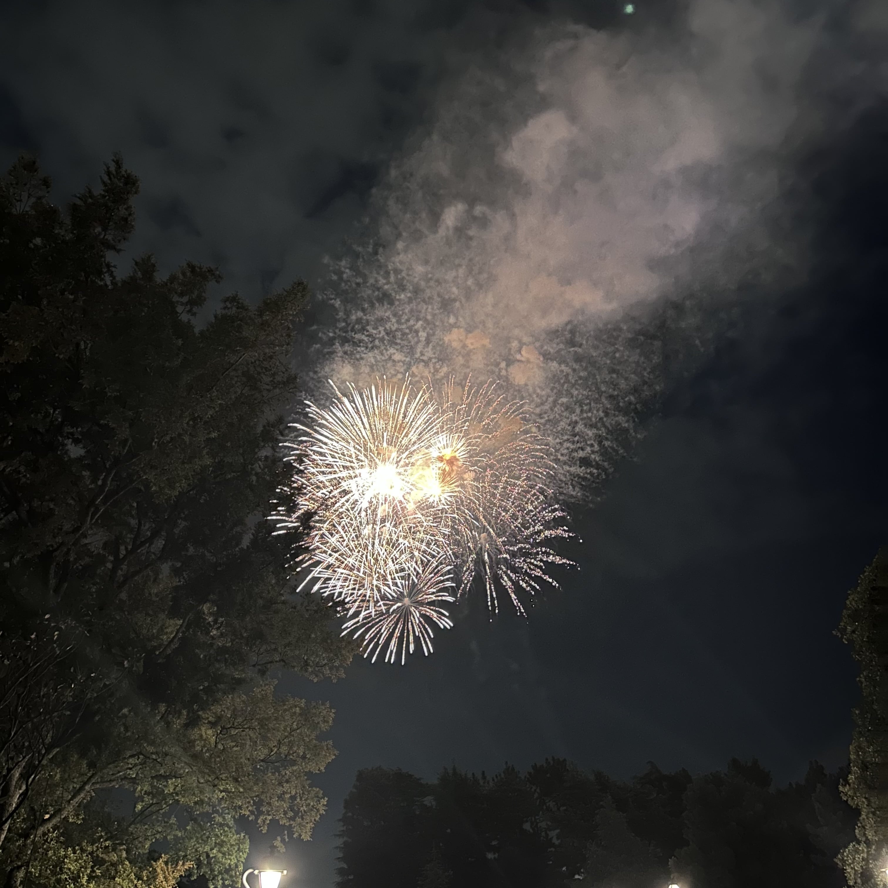 東京ディズニーランド、花火、スカイ・フル・オブ・カラーズ