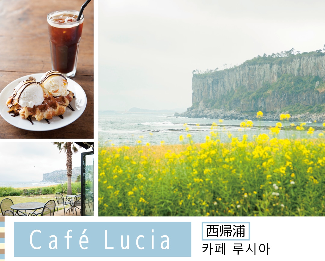 Cafe Lucia　西帰浦　카페 루시아