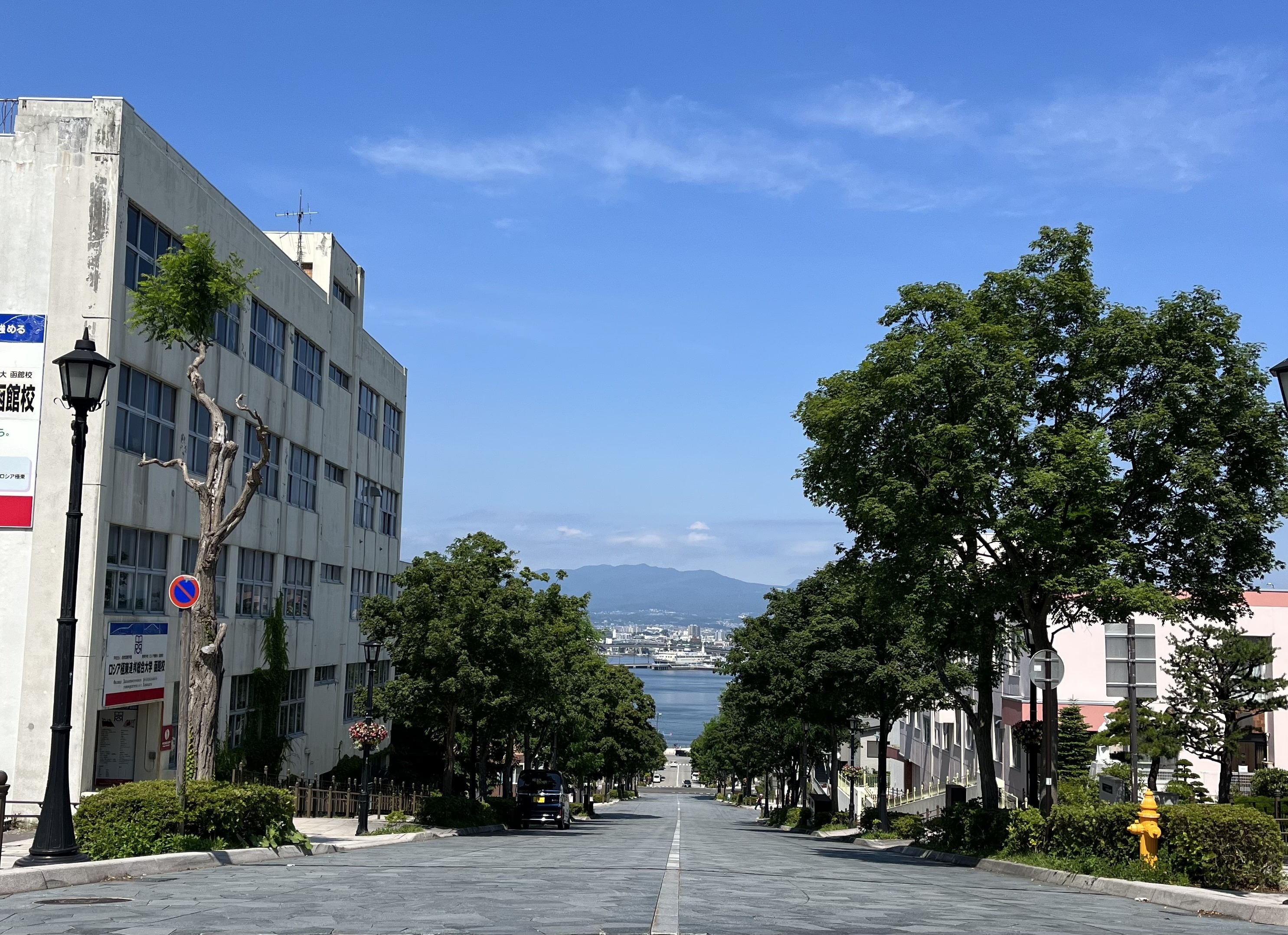 函館八幡坂の夏に撮った写真