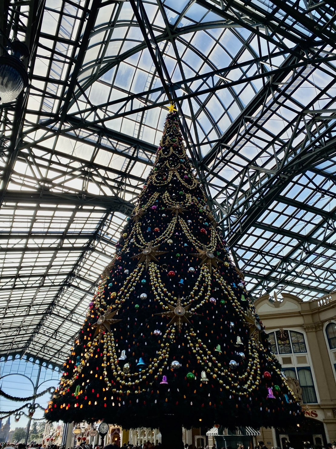 ディズニーランド クリスマスツリー(9:00頃)