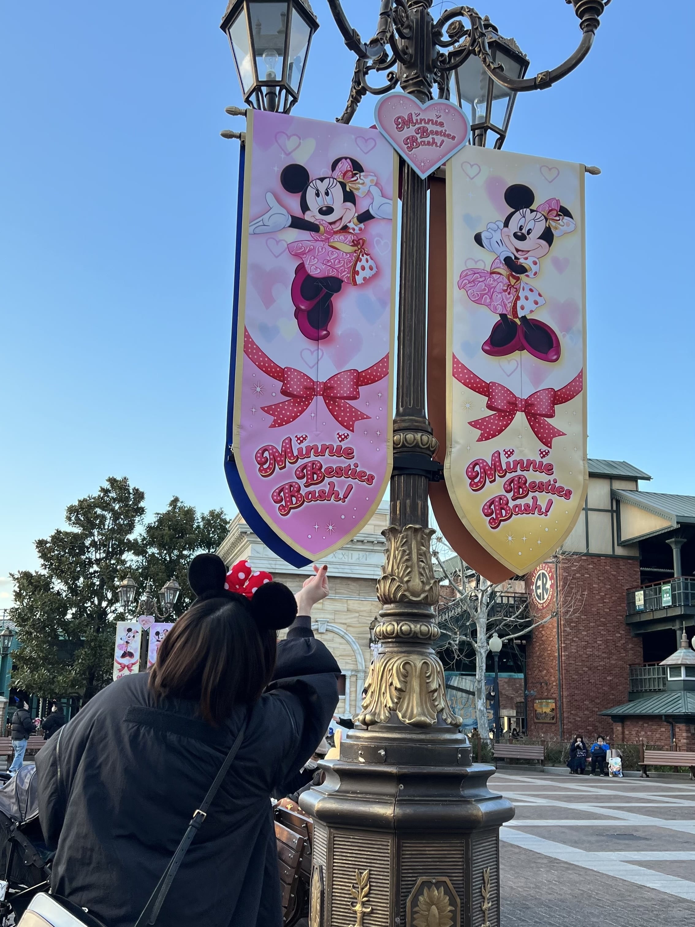 旗と写真撮る私