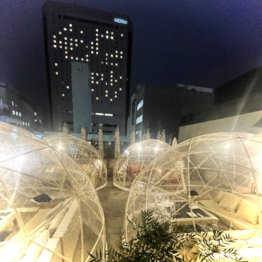 パージナ　ザ・ルーフ　ドーム　個室