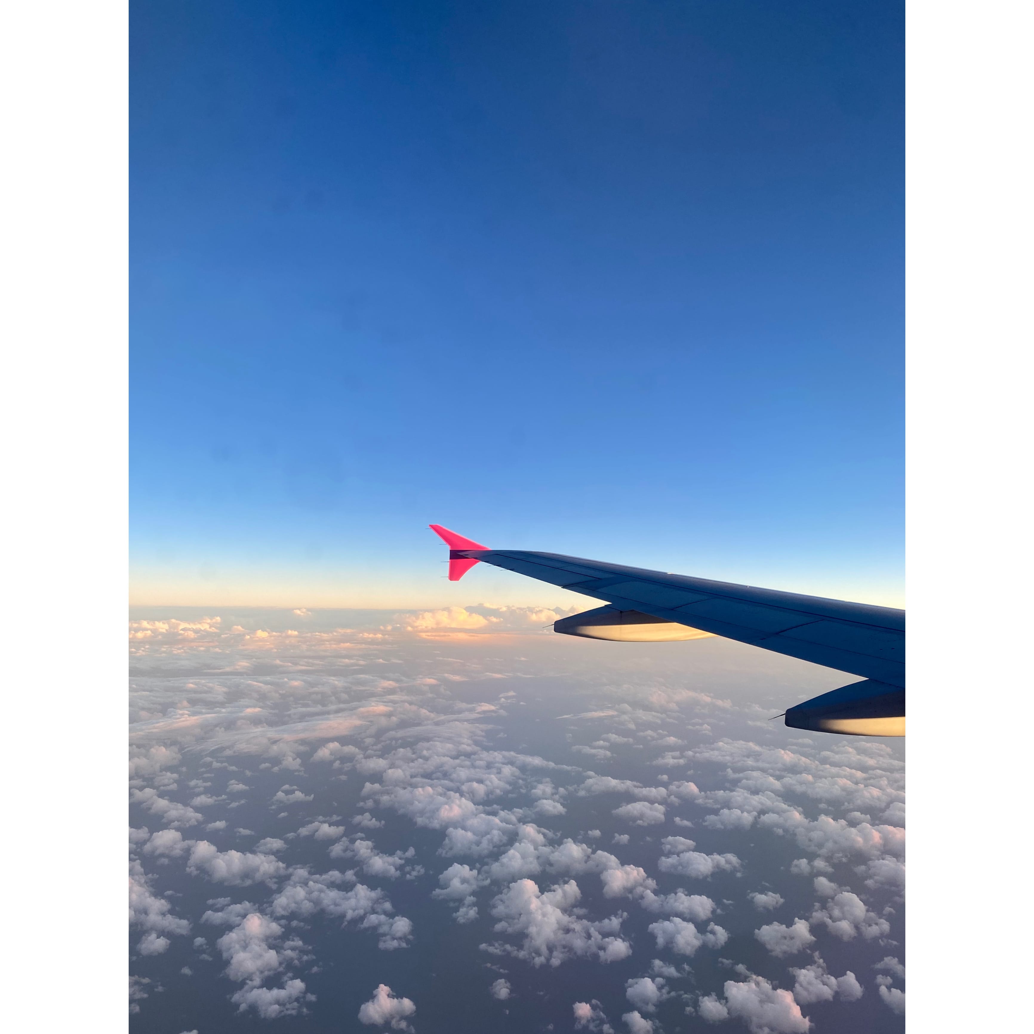 飛行機　景色　空