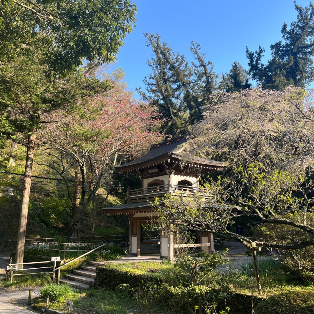 浄智寺