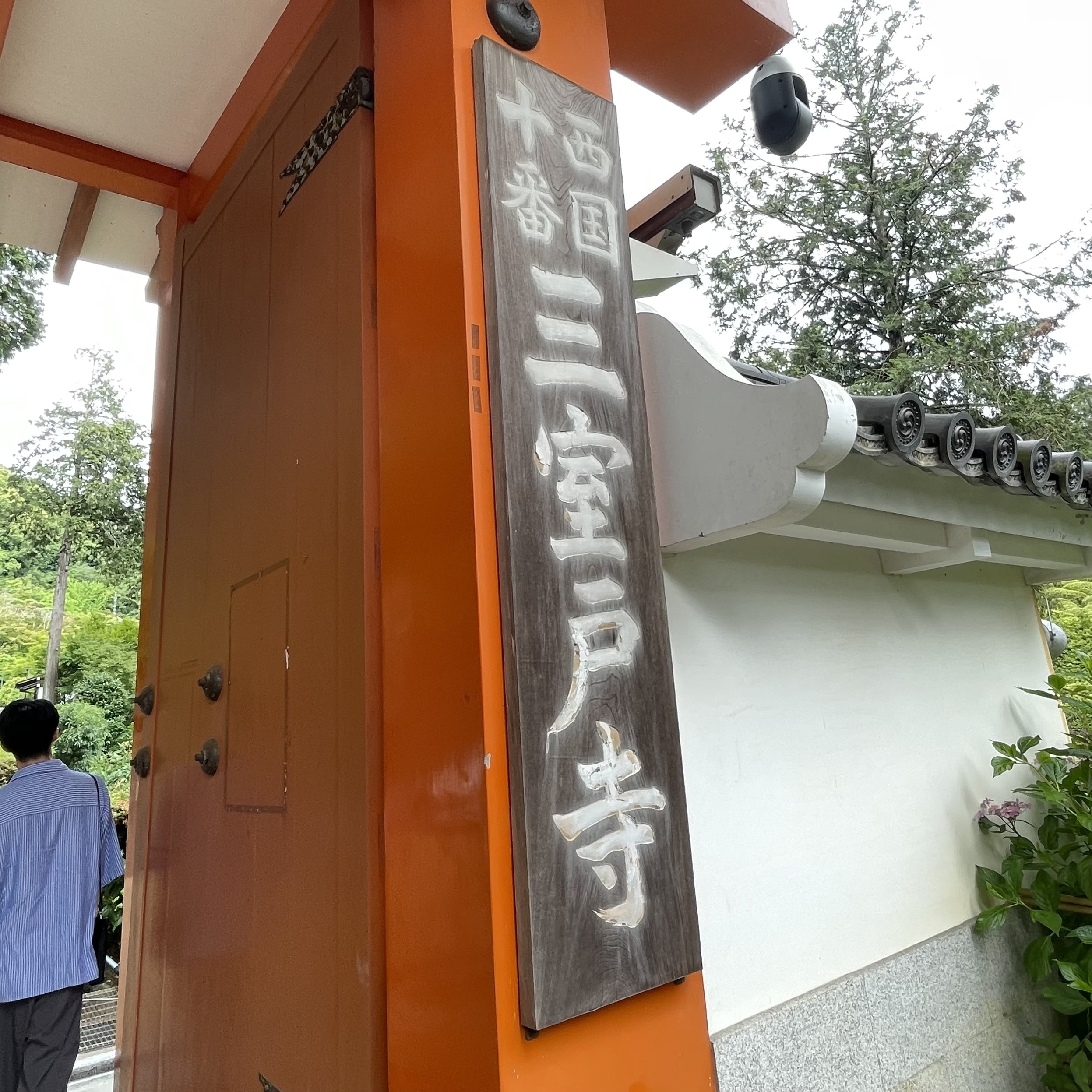 紫陽花 三室戸寺