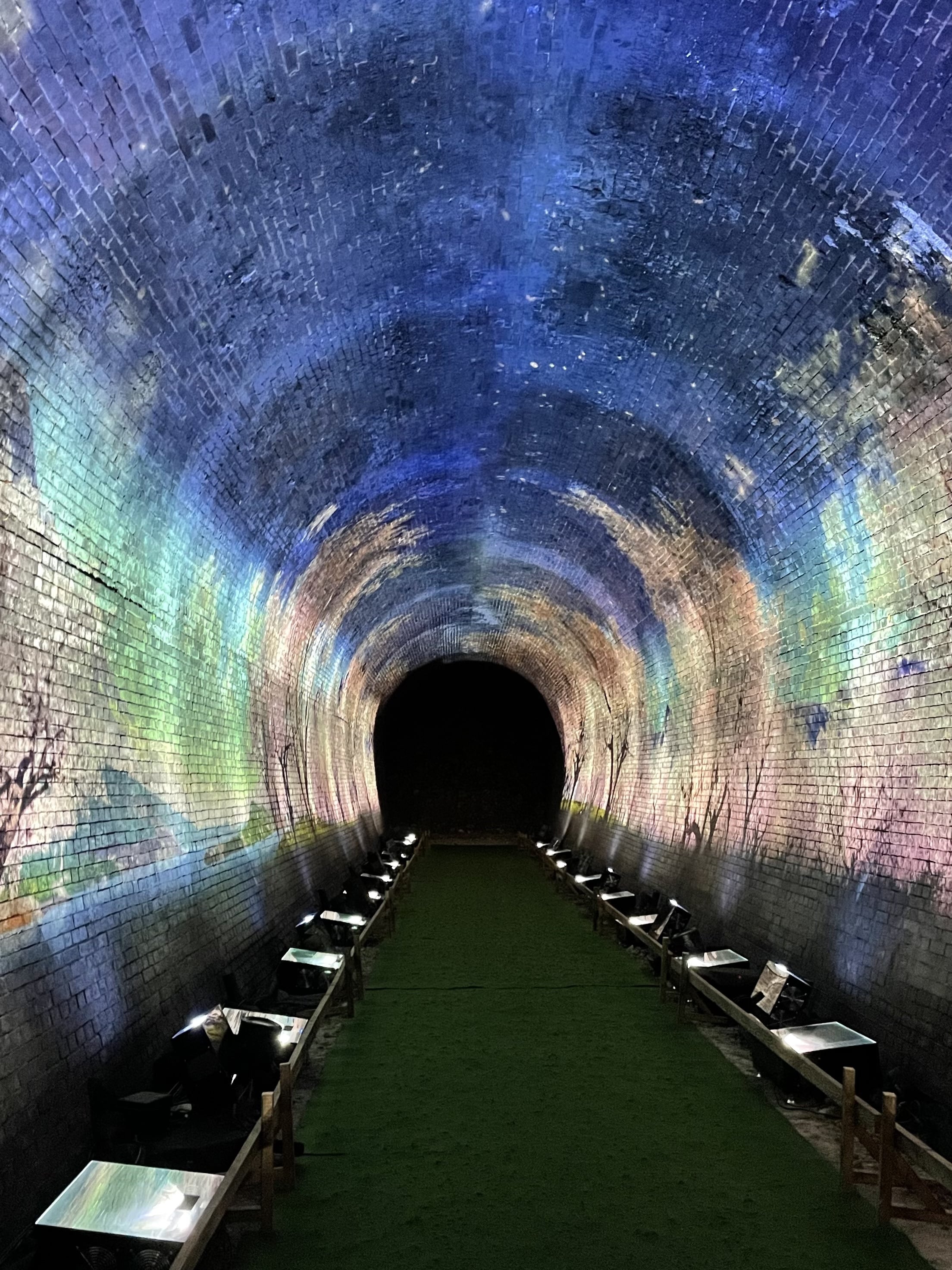 プロジェクションマッピング 桜並木の映像