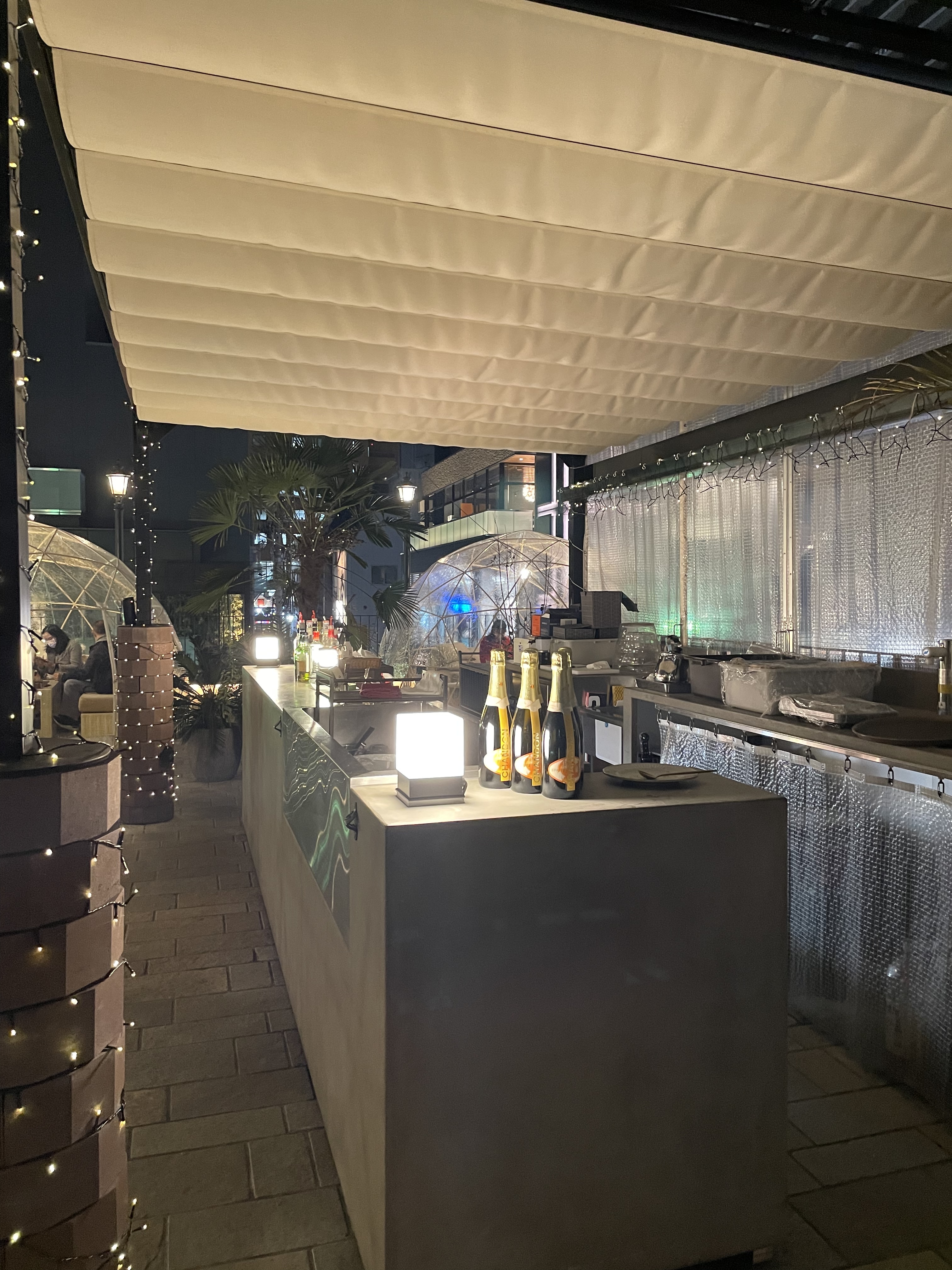 パージナ　ザ・ルーフ