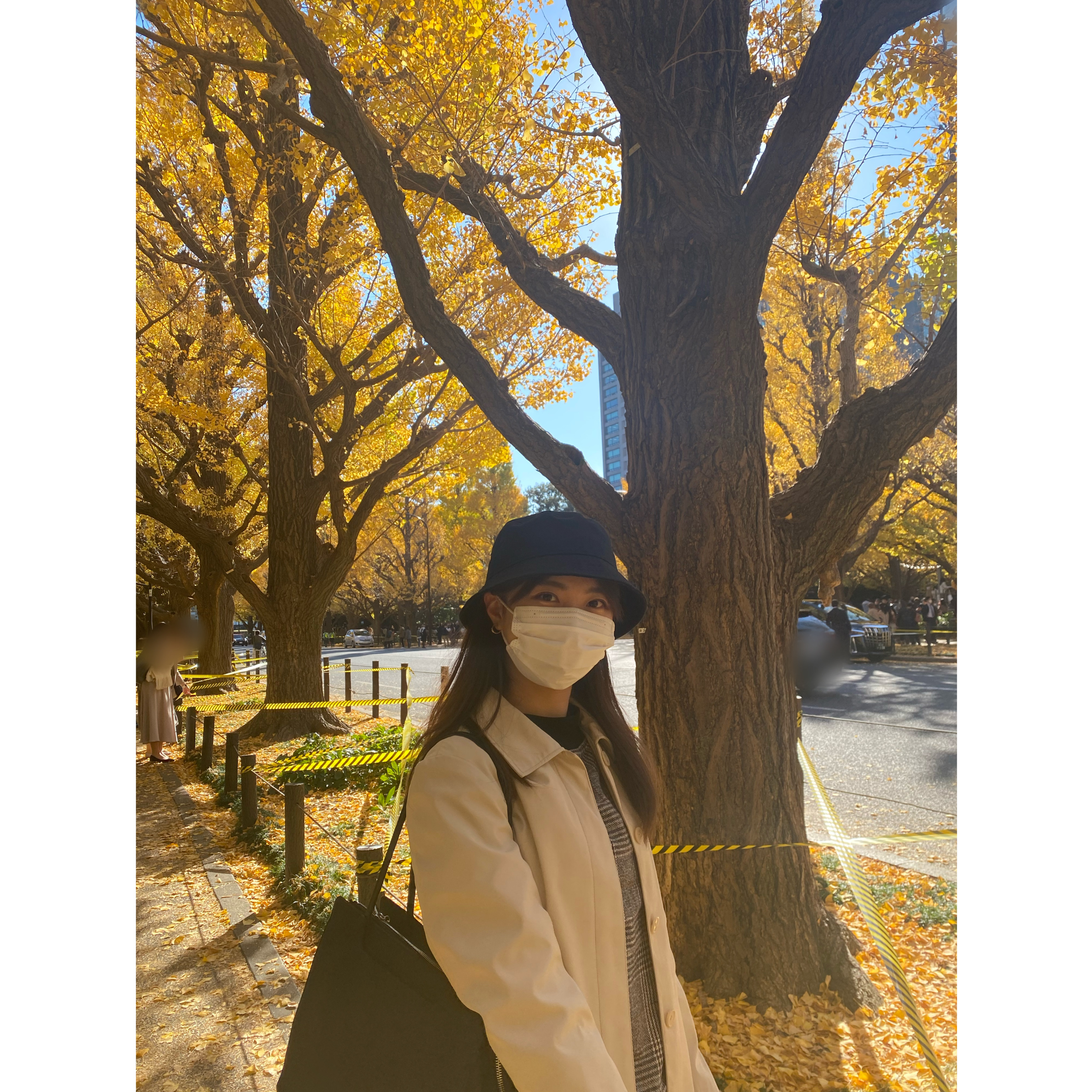 黒バッグ　放課後　イチョウ並木