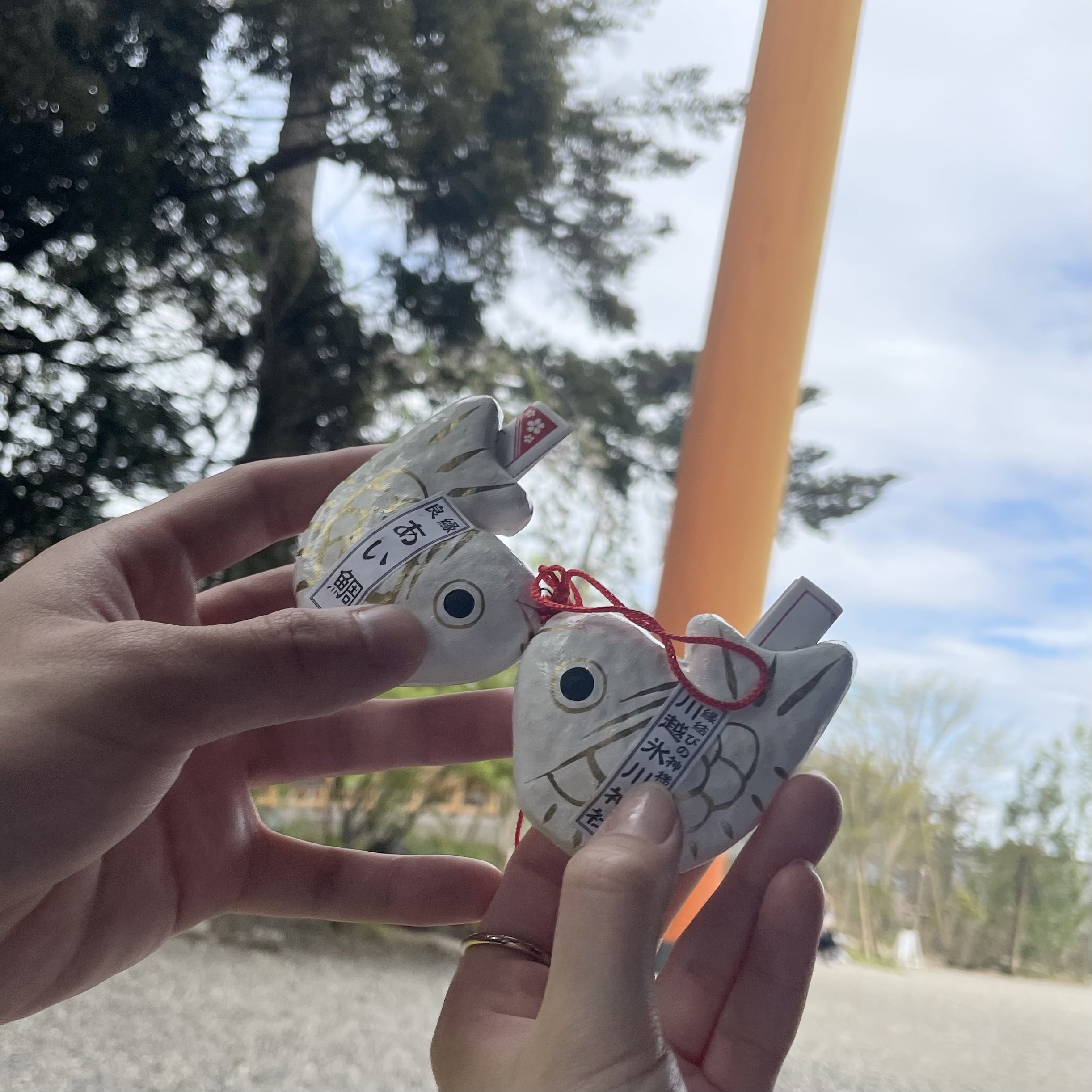 川越氷川神社　あい鯛みくじ