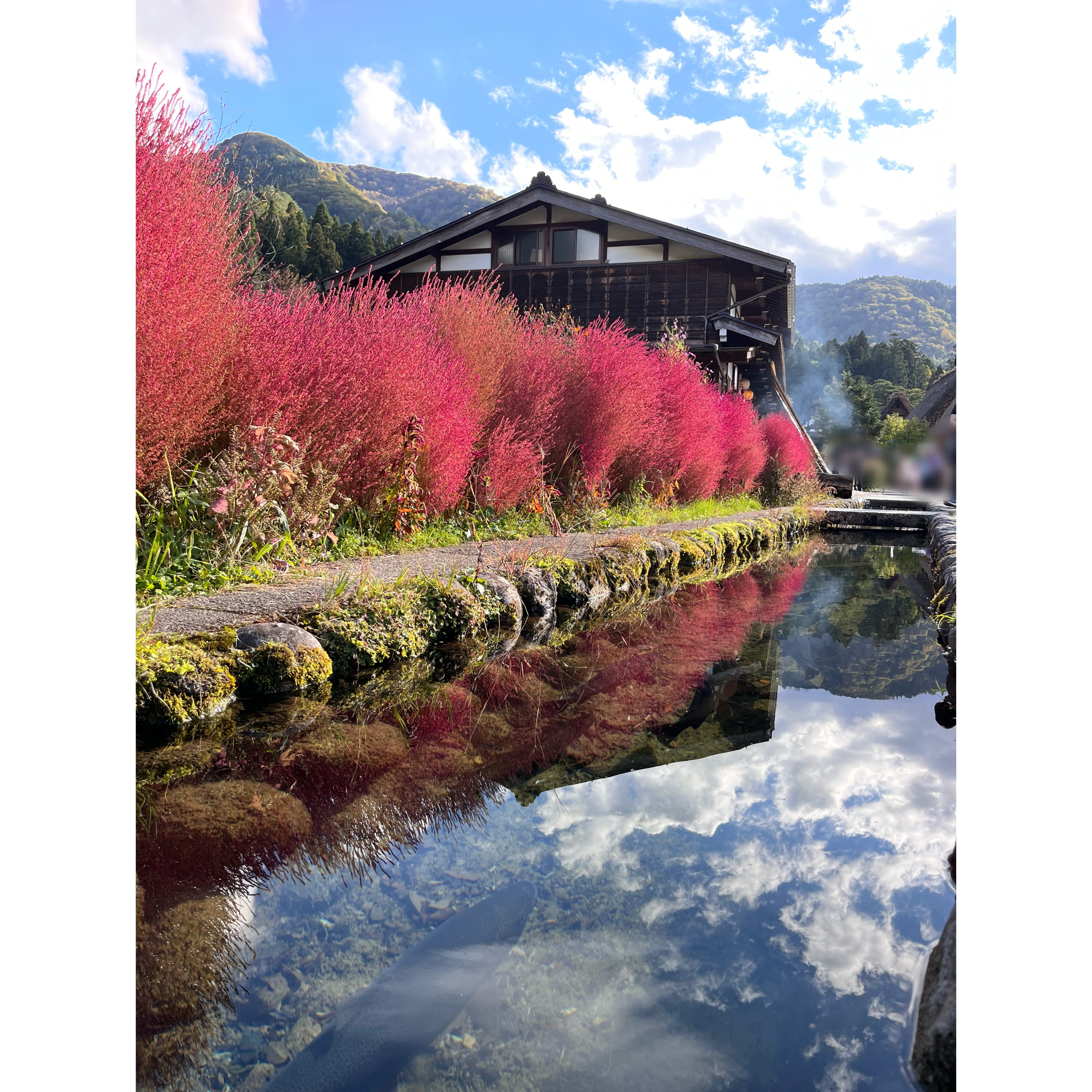 白川郷　景色　水
