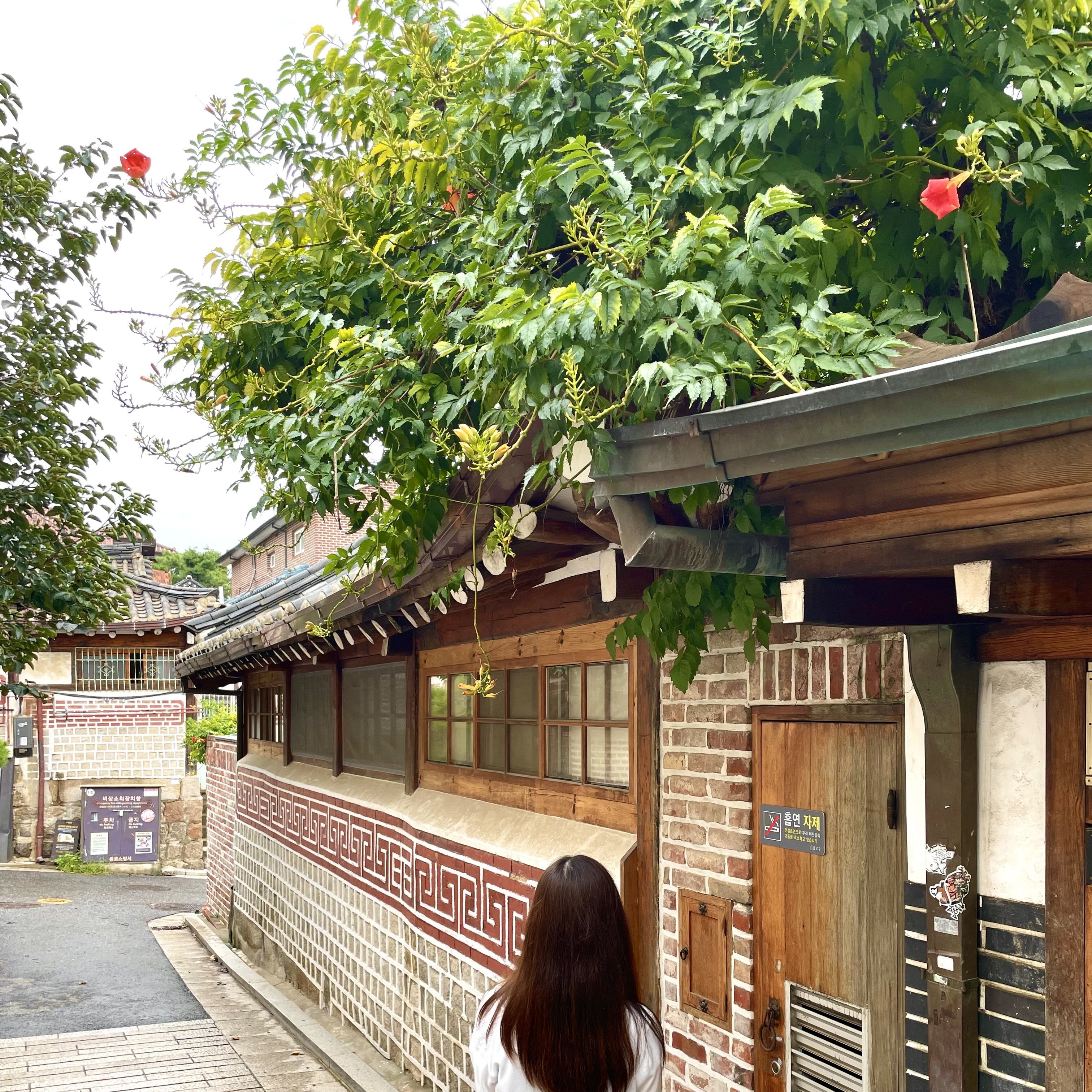 北村韓屋村 韓屋を背景に撮った筆者