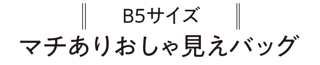 B５サイズ　マチありおしゃ見えバッグ