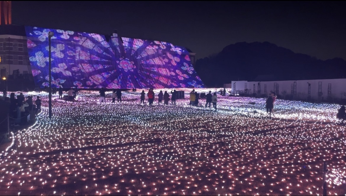 ハウステンボス アートガーデン 光のオーロラガーデン ーWinter Versionー ピンクのイルミネーション