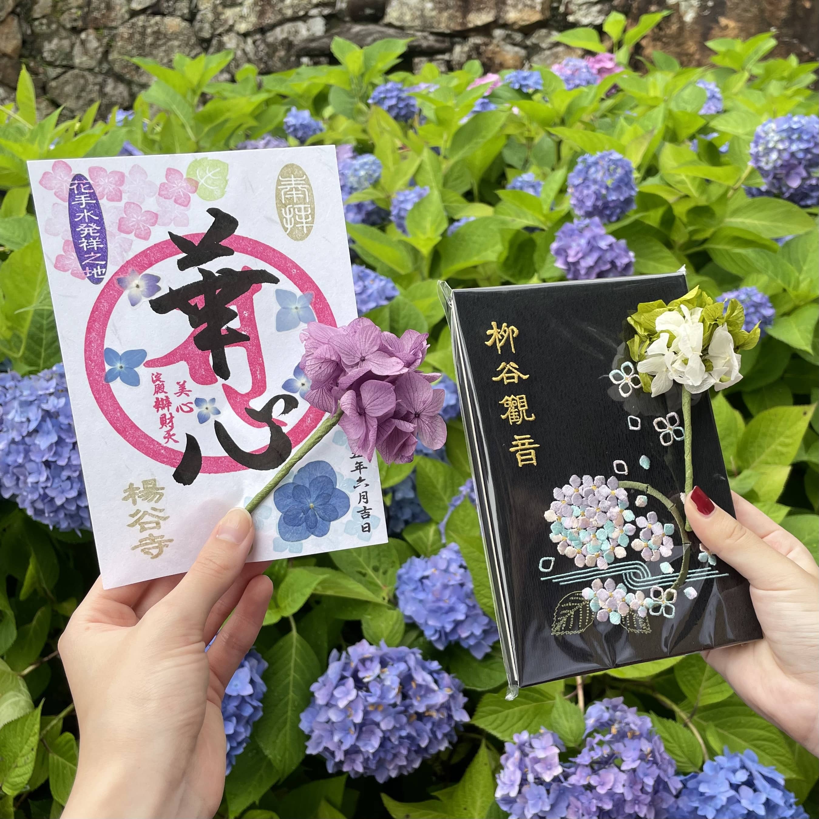御朱印　御朱印帳　紫陽花　柳谷観音