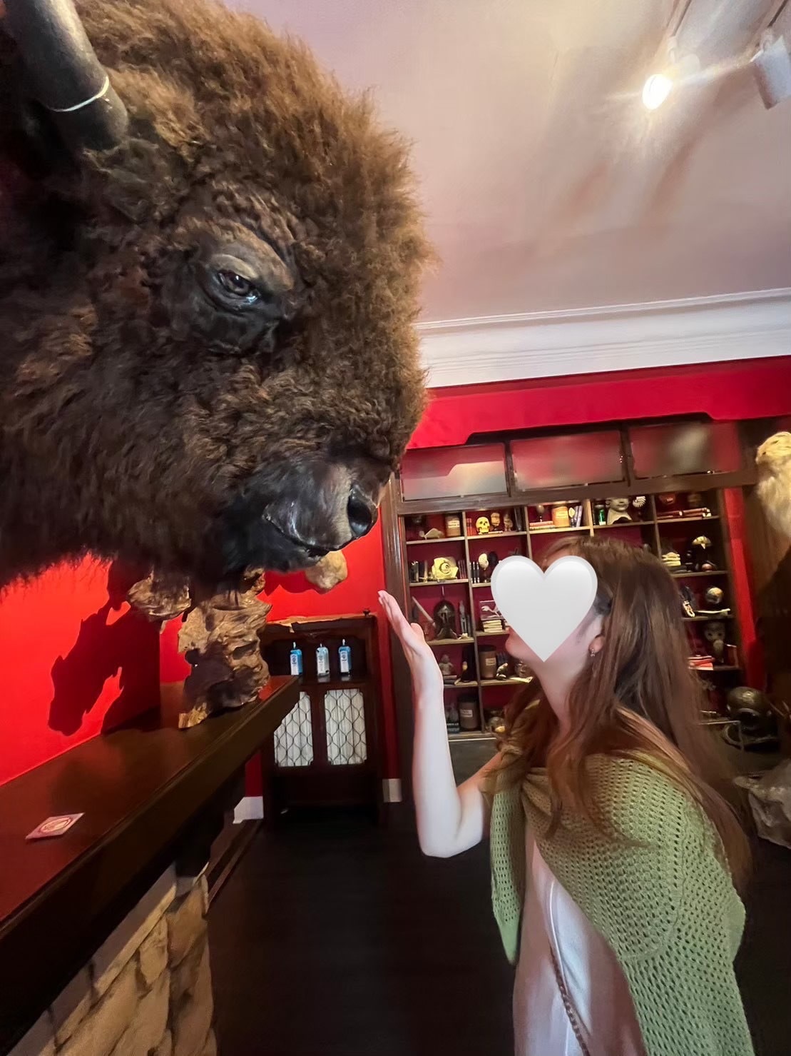 真っ赤な壁に動物のが飾られている写真。