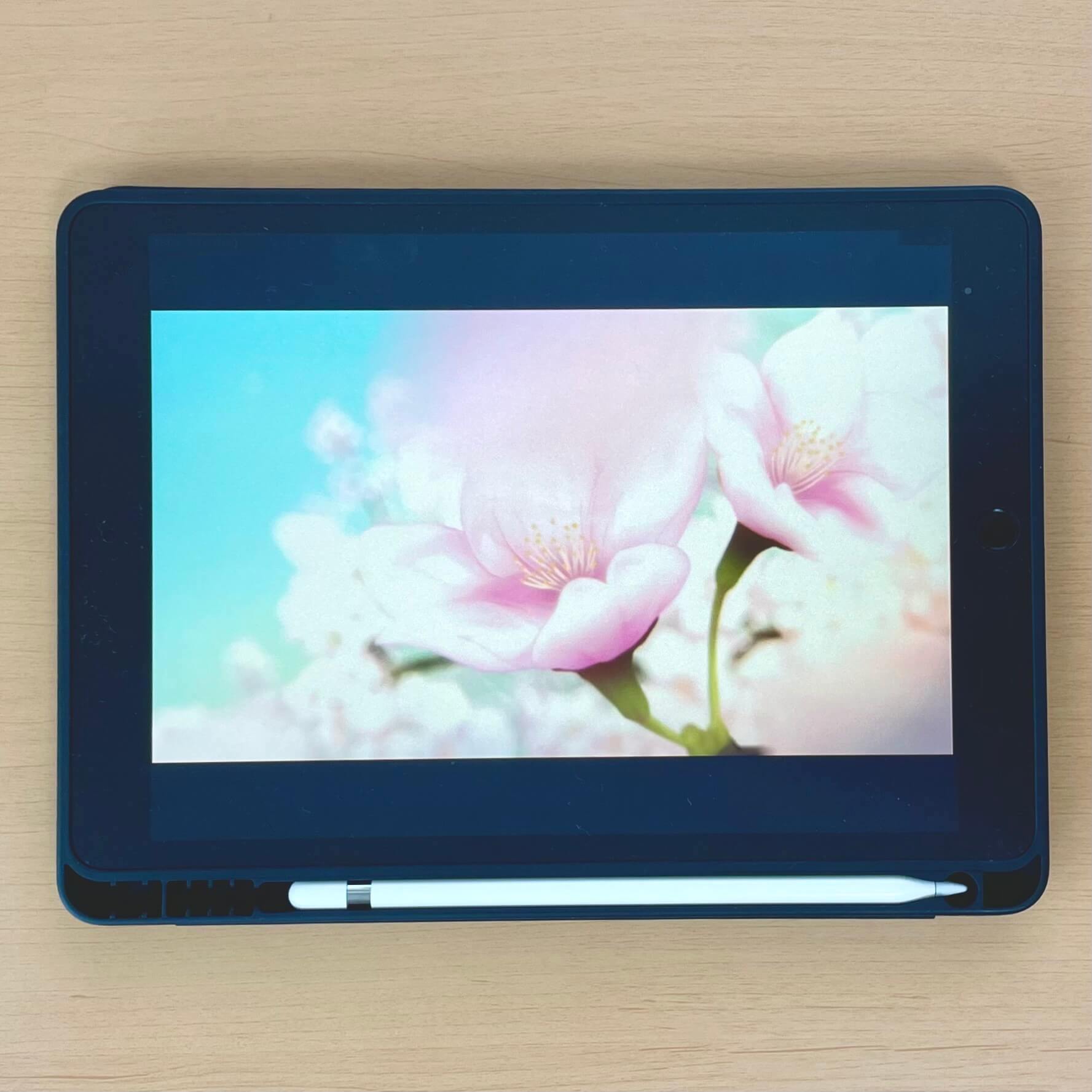 iPad　第９世代　動画を見る