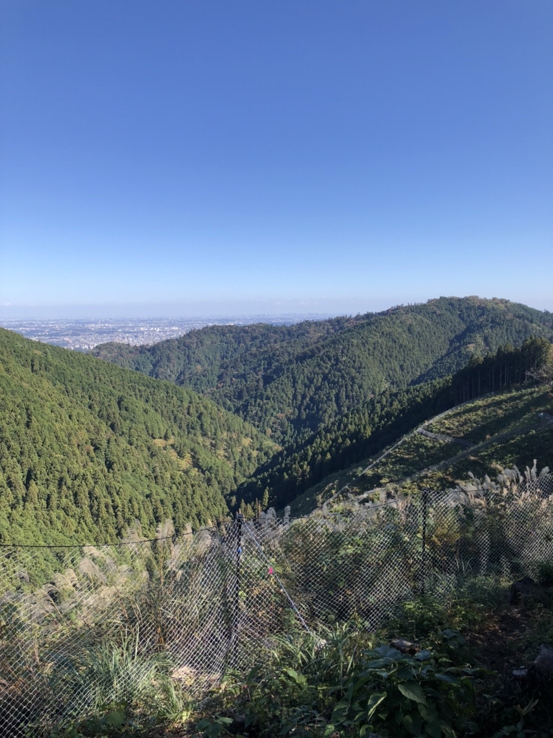 景色　登山　城山　絶景