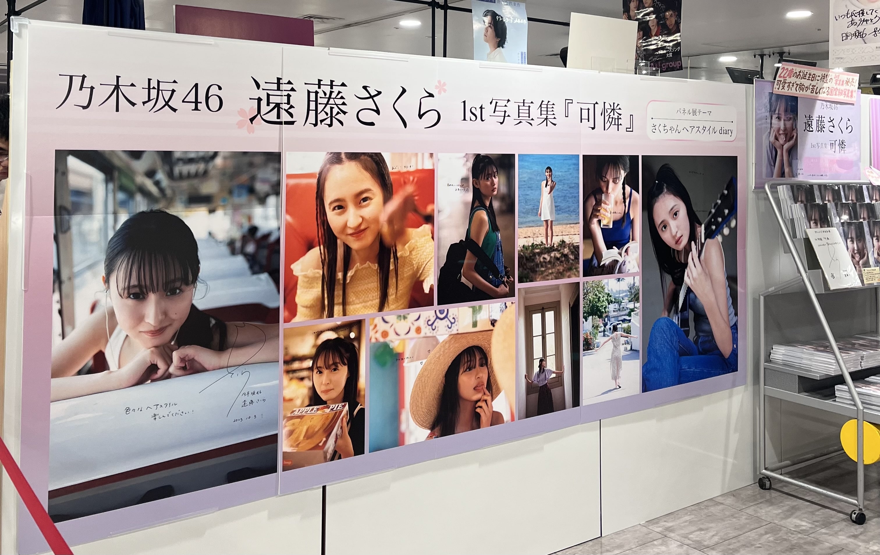 パネル展の写真