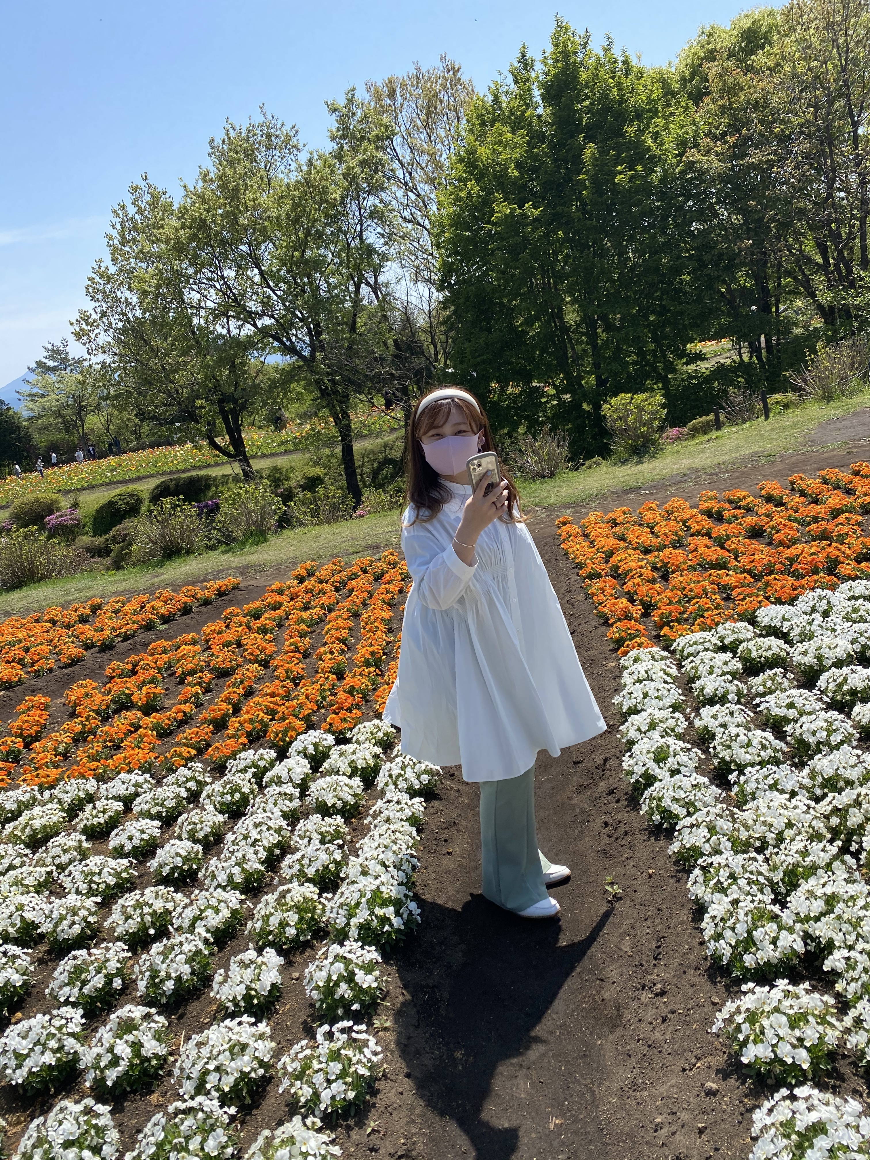 くじゅう花公園