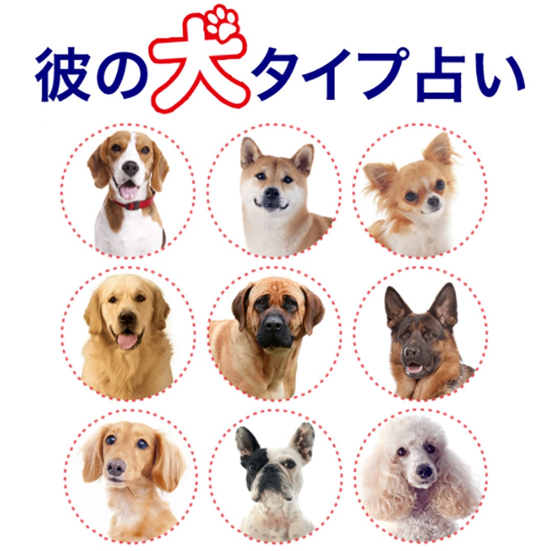 【募集】「彼の犬タイプ占い」に、愛するワンコ♡の画像を掲載しませんか？