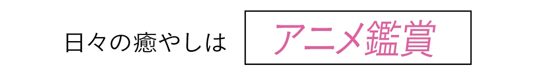 日々の癒やしは　アニメ鑑賞