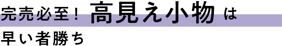 完売必至！高見え小物は早い者勝ち