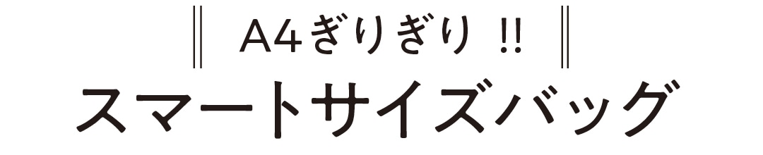 A４ぎりぎり!!　スマートサイズバッグ