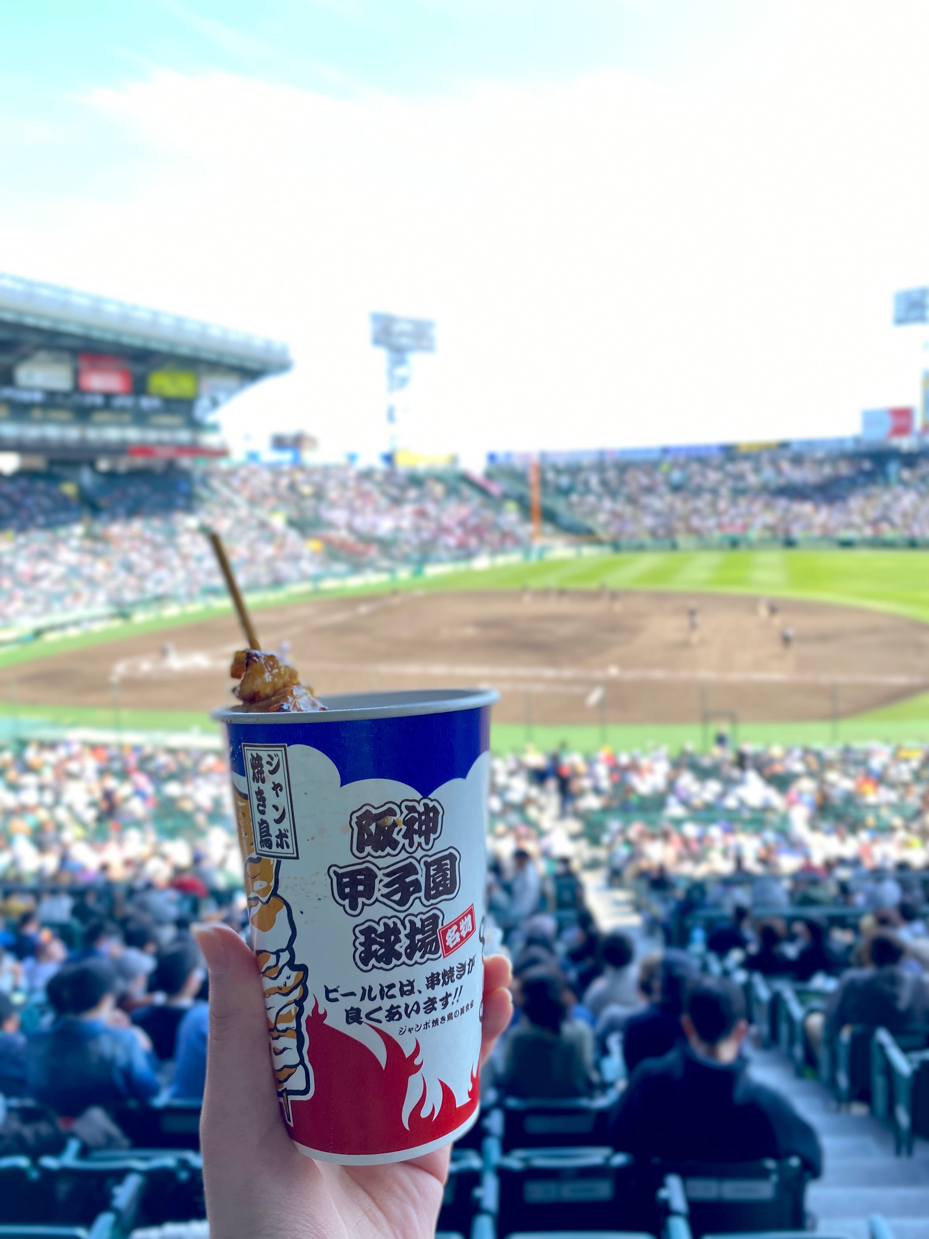 選抜高校野球】初心者必見！甲子園観戦の楽しみ方ガイド〜女子1人で初甲子園〜 | No.072 Himeka | 大学生エディターズ | non-no  web