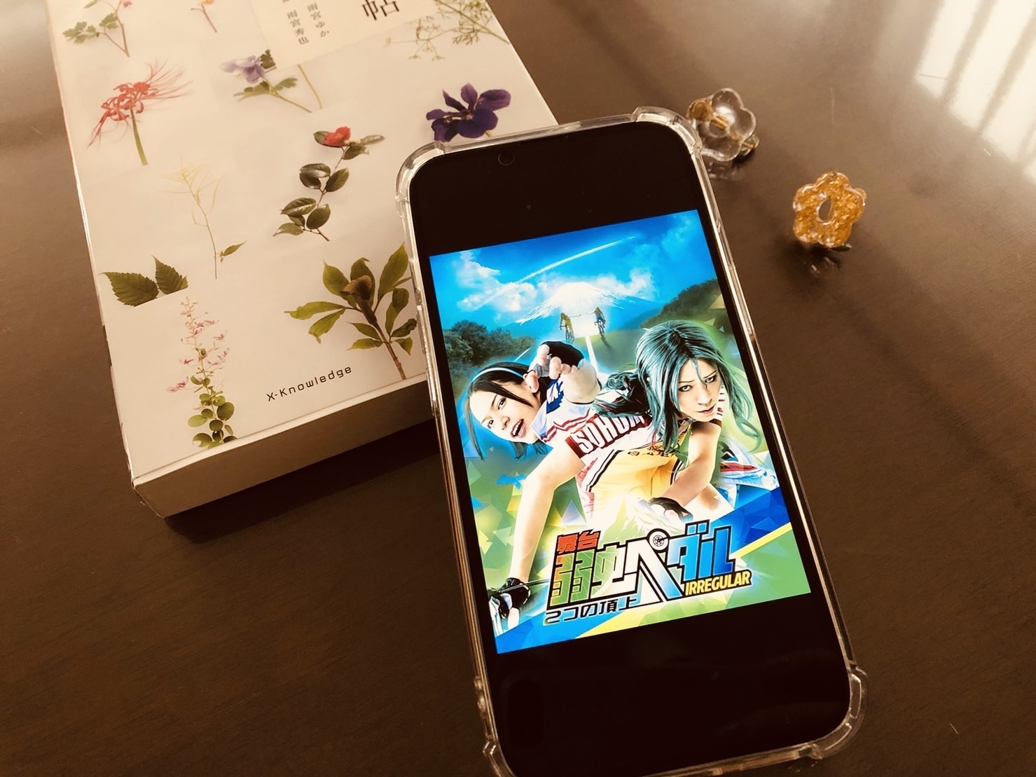 「舞台『弱虫ペダル』IRREGULAR～2つの頂上〜」ポスター写真