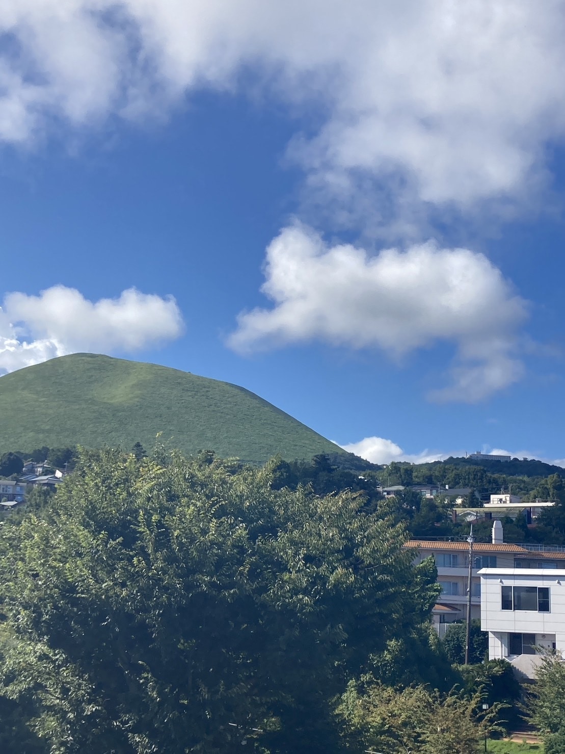 屋上から見える大室山の写真