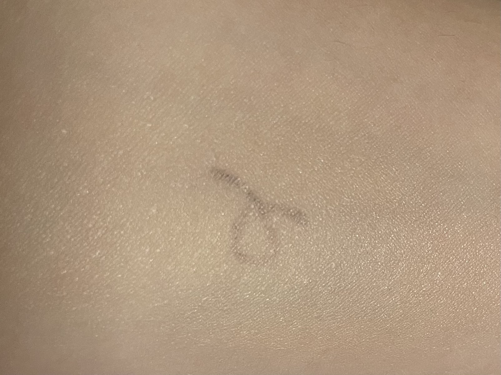 シカペアリカバー　カバー力　アイライン検証