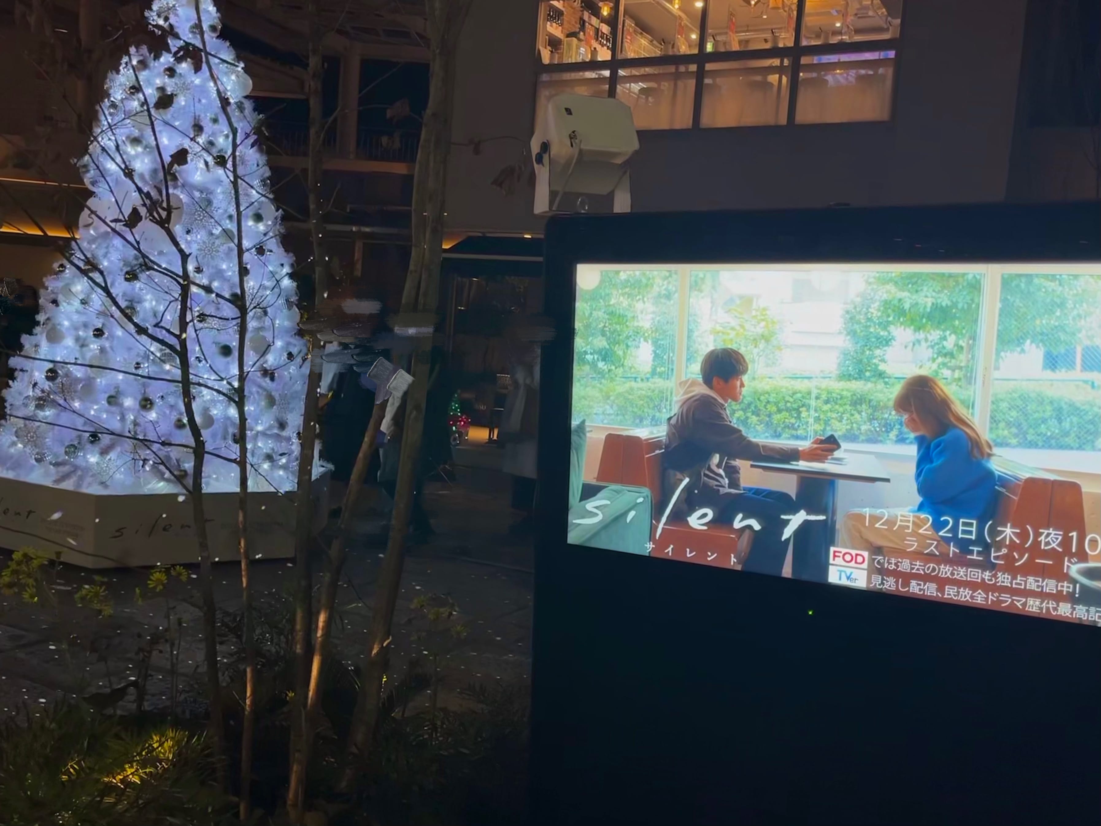 サイレント　クリスマスツリー　下北沢